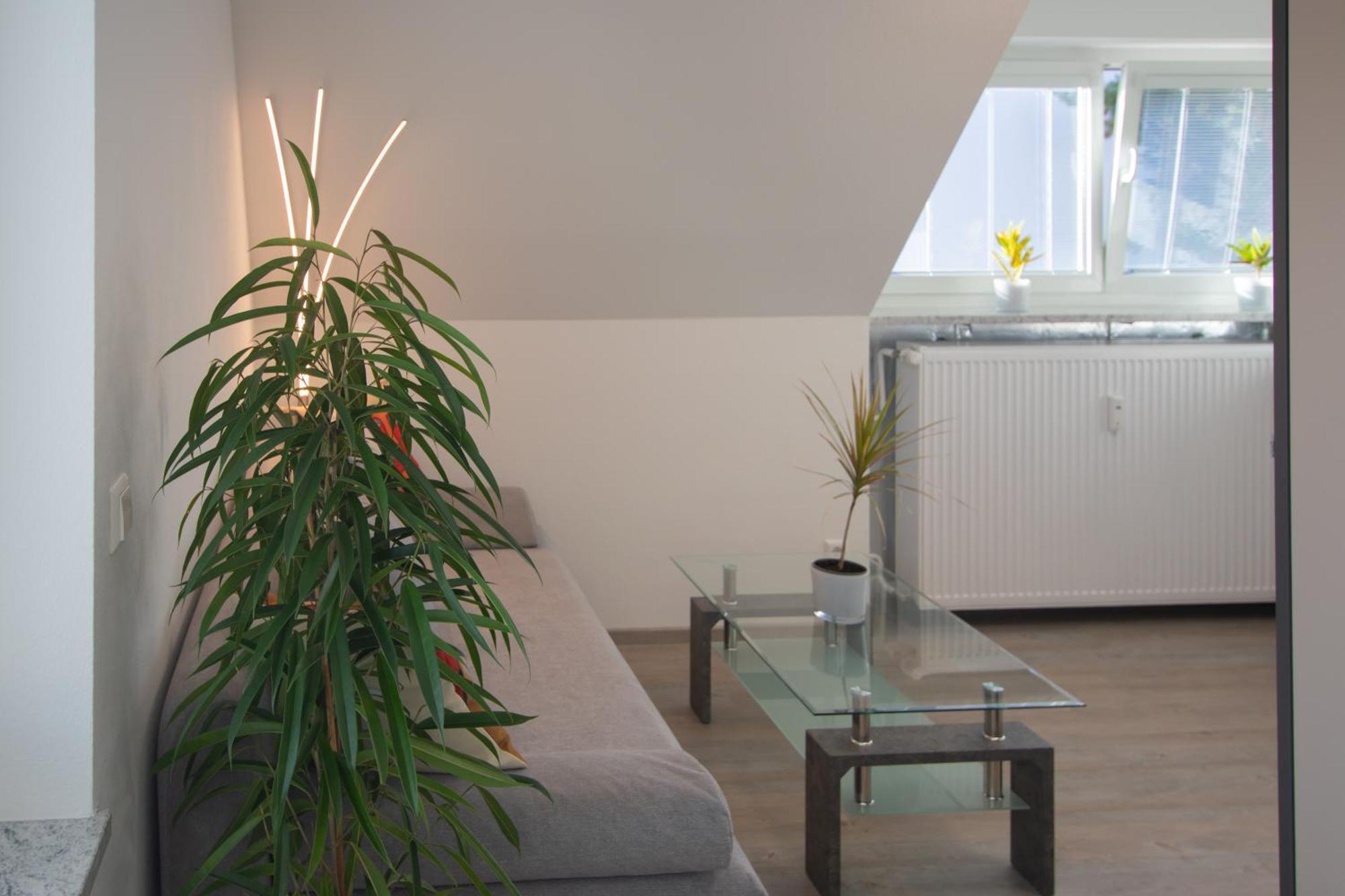 #5 Hq In Bester Lage Apartment
